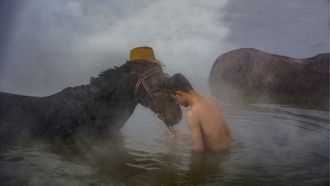 Expositions photographiques : L'émoi de la photo - ORTHEZ