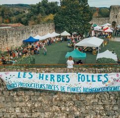 Festival : Les Herbes folles - BELLOCQ