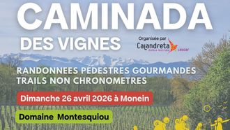 Caminada des vignes - MONEIN