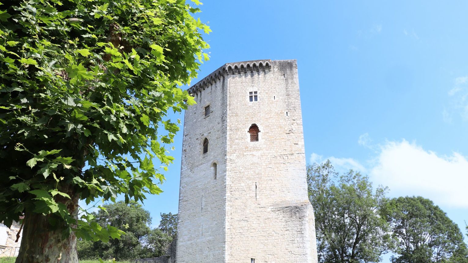 Le Château Moncade - ORTHEZ