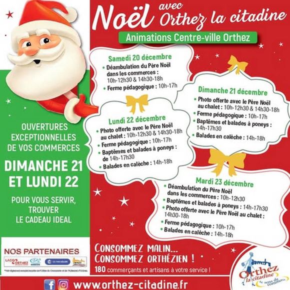 Noël avec Orthez la Citadine - ORTHEZ