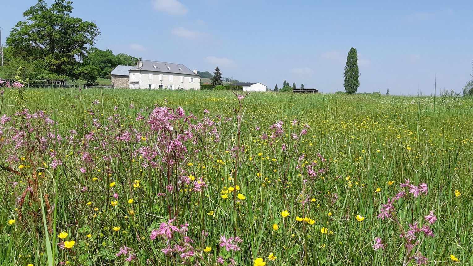 Gîtes de Bernet - Les Roses - MONEIN