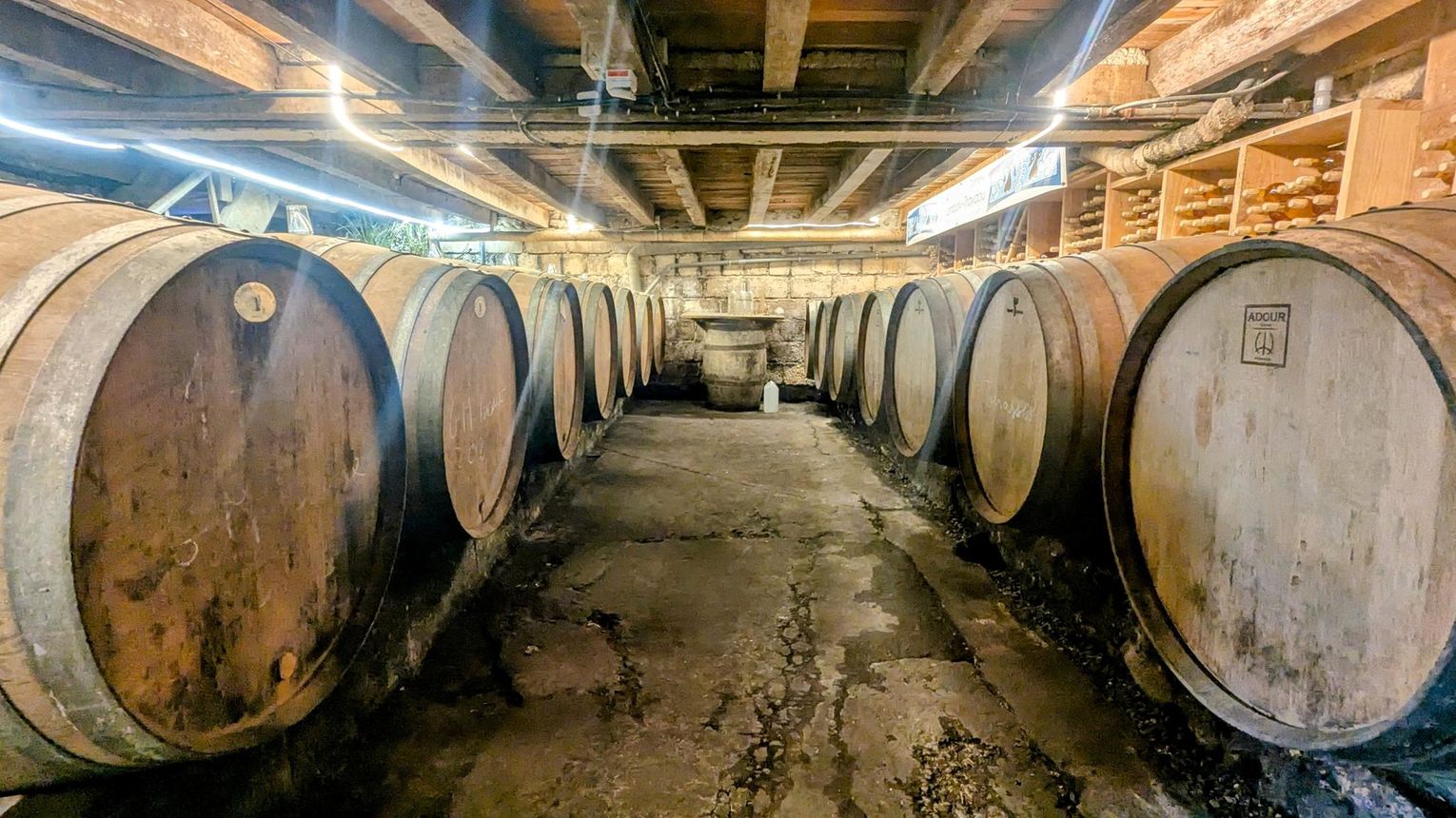 Domaine Nomboly-Traydou - MONEIN