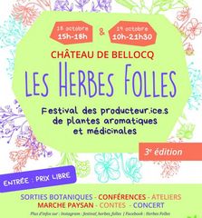 Festival : Les Herbes folles - BELLOCQ