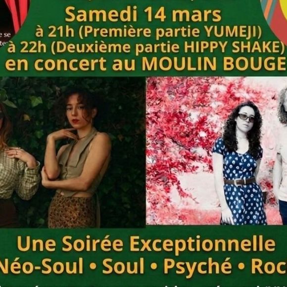 Concert : Yumeji et Hippy Shake - MONEIN