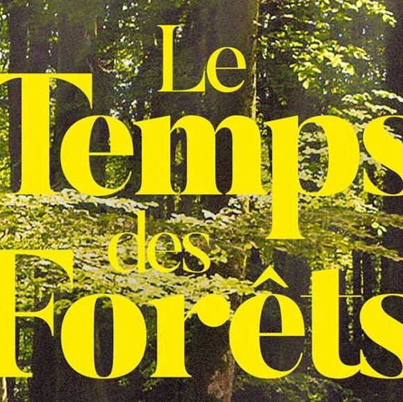 Ciné-débat : Le temps des forêts - MONEIN