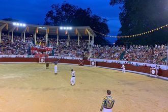 Course landaise compétition - ORTHEZ