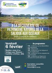 Visite de la saligue aux oiseaux - CASTETIS