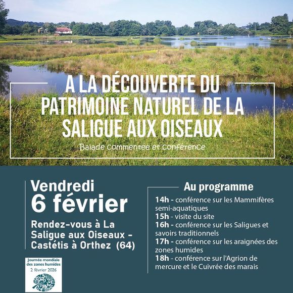 Visite de la saligue aux oiseaux - CASTETIS