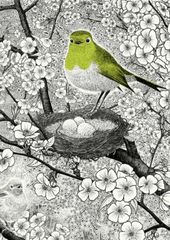 Exposition : Cherche et trouve les animaux dans le jardin - MONEIN