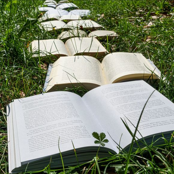 Lectures nomades - ORTHEZ