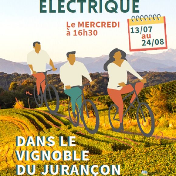 Balade à vélo électrique dans le vignoble du Jurançon - MONEIN