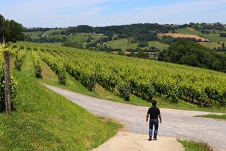 Balade vigneronne : Domaine Montesquiou - MONEIN