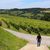 Balade vigneronne : Domaine Montesquiou - MONEIN