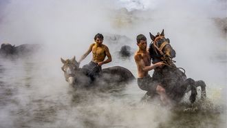 Expositions photographiques : L'émoi de la photo - ORTHEZ
