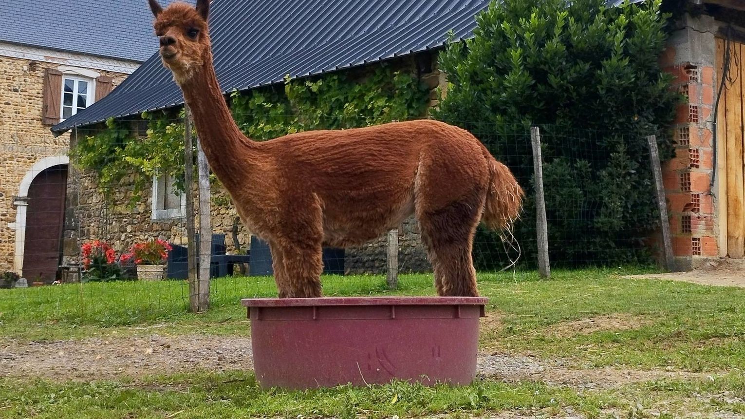 Ferme Pakucha - LUCQ-DE-BEARN