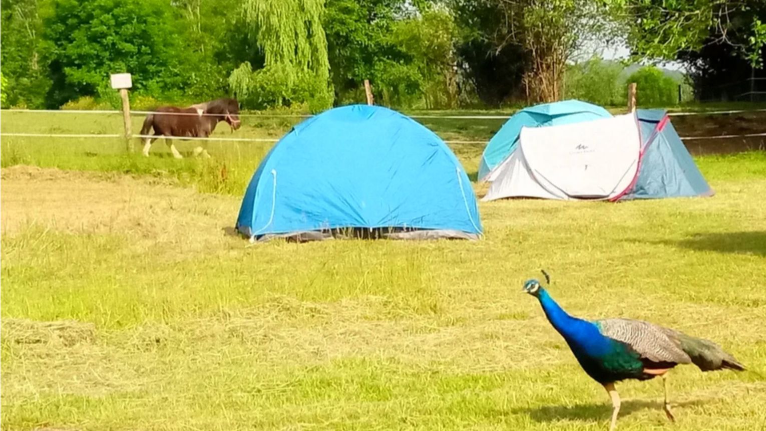 Aire Naturelle des Marnières - ORTHEZ