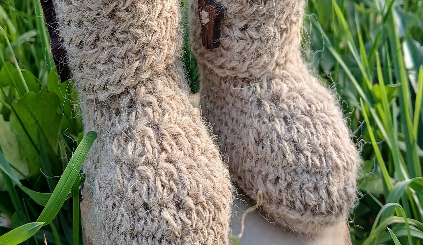 Ferme Pakucha - LUCQ-DE-BEARN