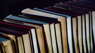 Journée du Livre - ORTHEZ