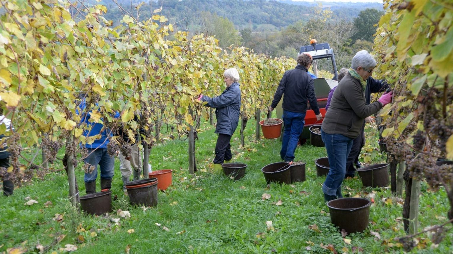 Domaine Capdevielle - MONEIN