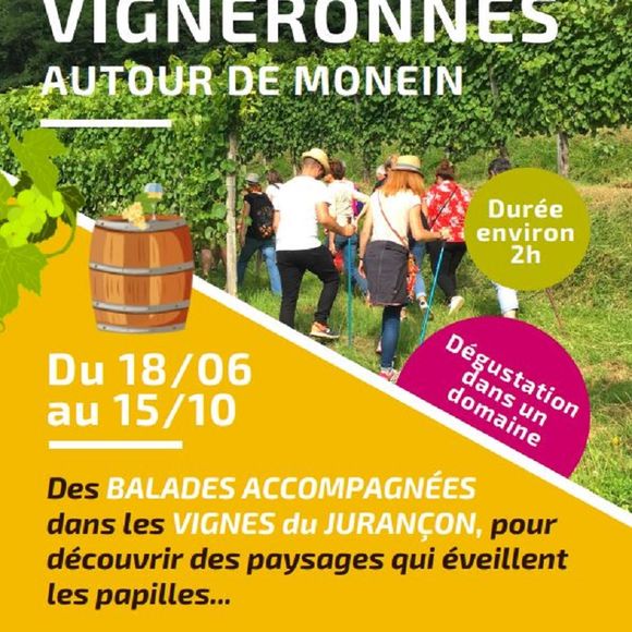 Balade vigneronne : Domaine Capdevielle - MONEIN