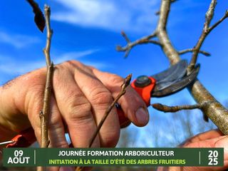 Formation arboriculteur – Initiation à la taille d’été des arbres fruitiers - BIRON