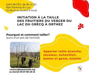 Invitation à la taille des fruitiers - ORTHEZ