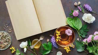 Atelier : Plantes sauvages comestibles - SERRES-SAINTE-MARIE