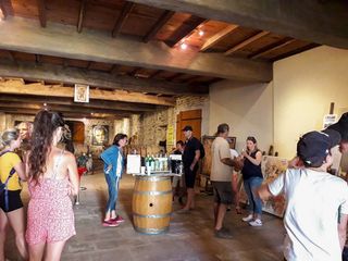 Balade vigneronne : Domaine Bordenave - MONEIN