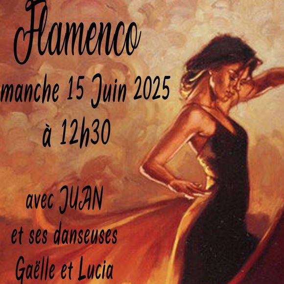 Flamenco - ORTHEZ