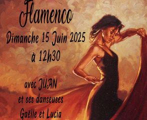 Flamenco - ORTHEZ
