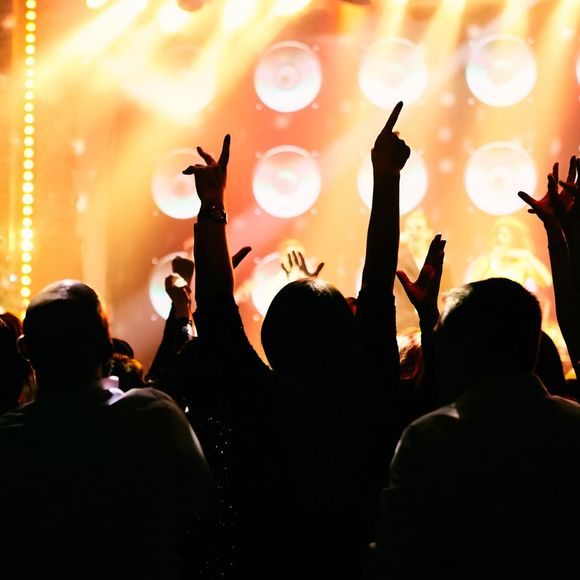 Concert : Black Foxxes - ARTHEZ-DE-BEARN