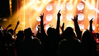 Concert : Black Foxxes - ARTHEZ-DE-BEARN