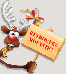 Jeu de piste : Flocon le renne a disparu - ORTHEZ