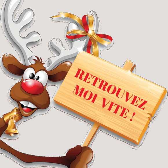 Jeu de piste : Flocon le renne a disparu - ORTHEZ