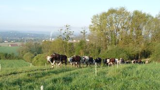 Journée agriculturelle - CASTETIS
