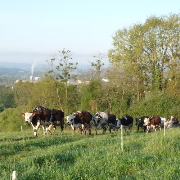 Journée agriculturelle - CASTETIS