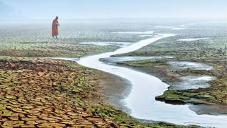 Expositions photographiques : L'émoi de la photo - ORTHEZ