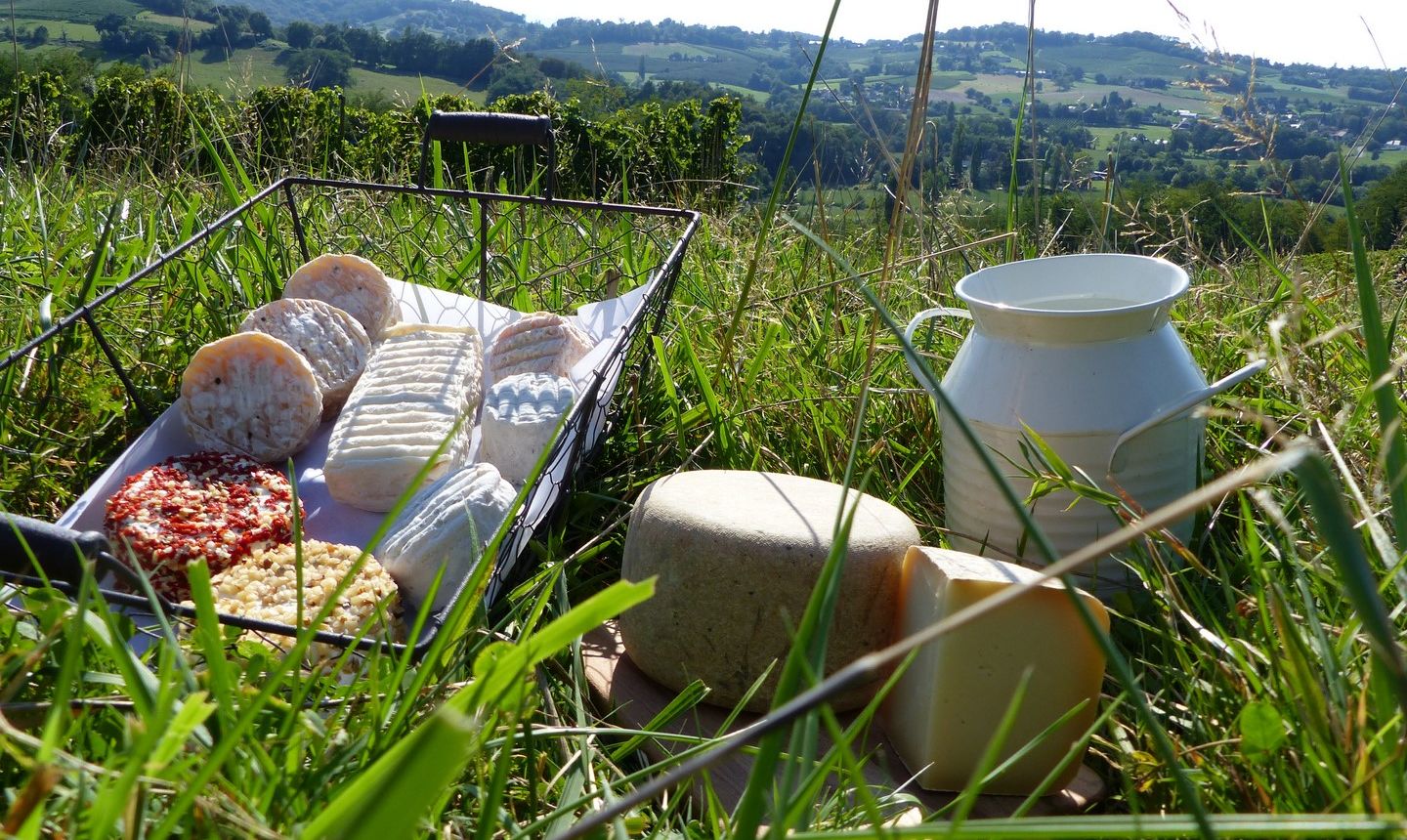 Les biquettes de Bellevue - CUQUERON