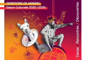 Musique classique : Orchestre de Pau Pays de Béarn - MONEIN