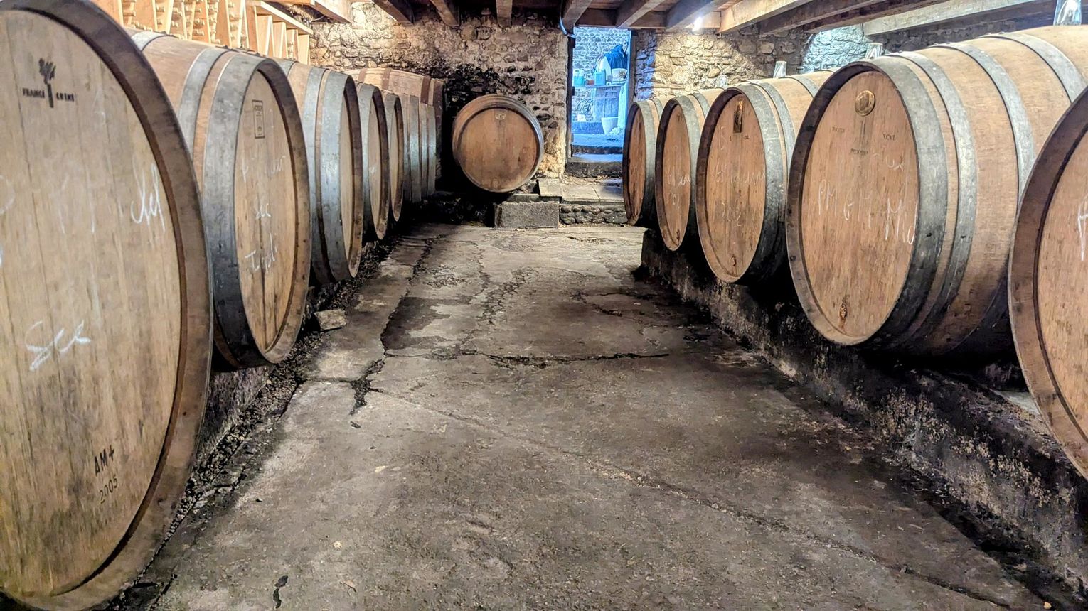 Domaine Nomboly-Traydou - MONEIN