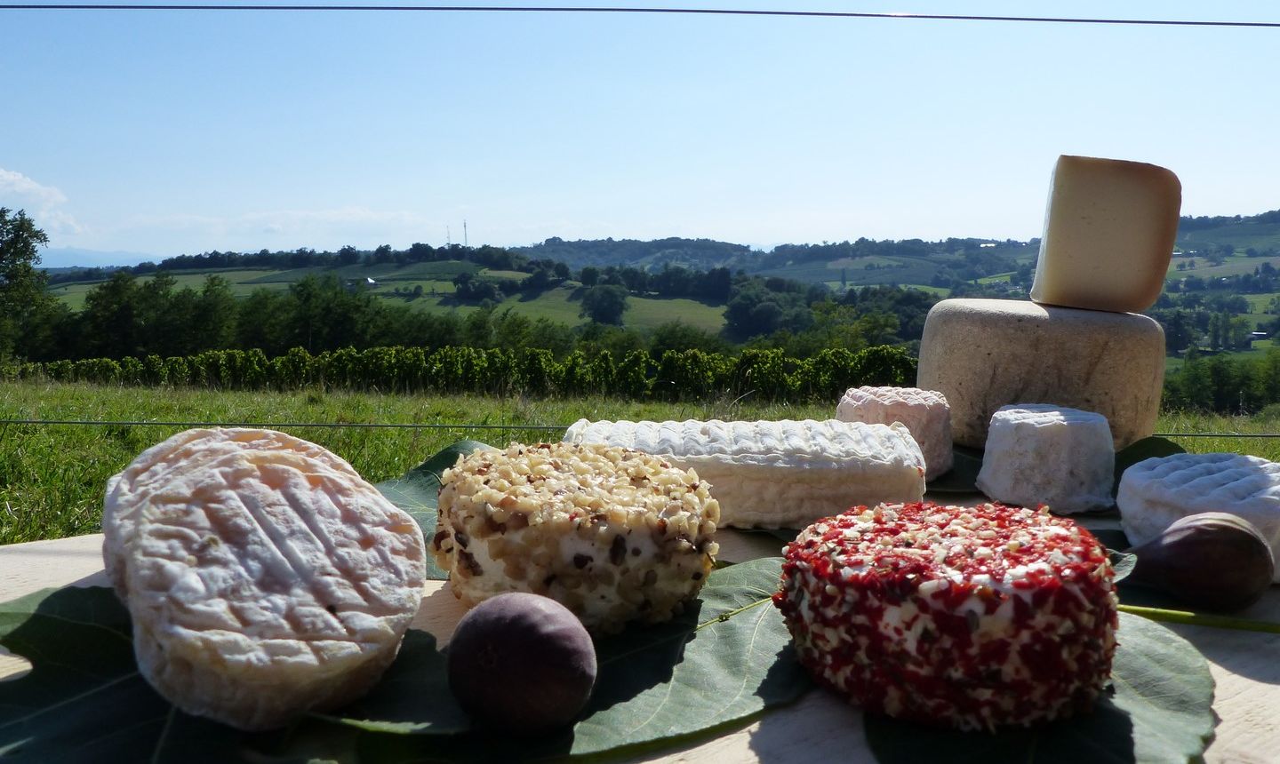 Les biquettes de Bellevue - CUQUERON