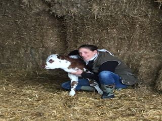 De ferme en ferme : Lait P'tits béarnais - CASTETIS
