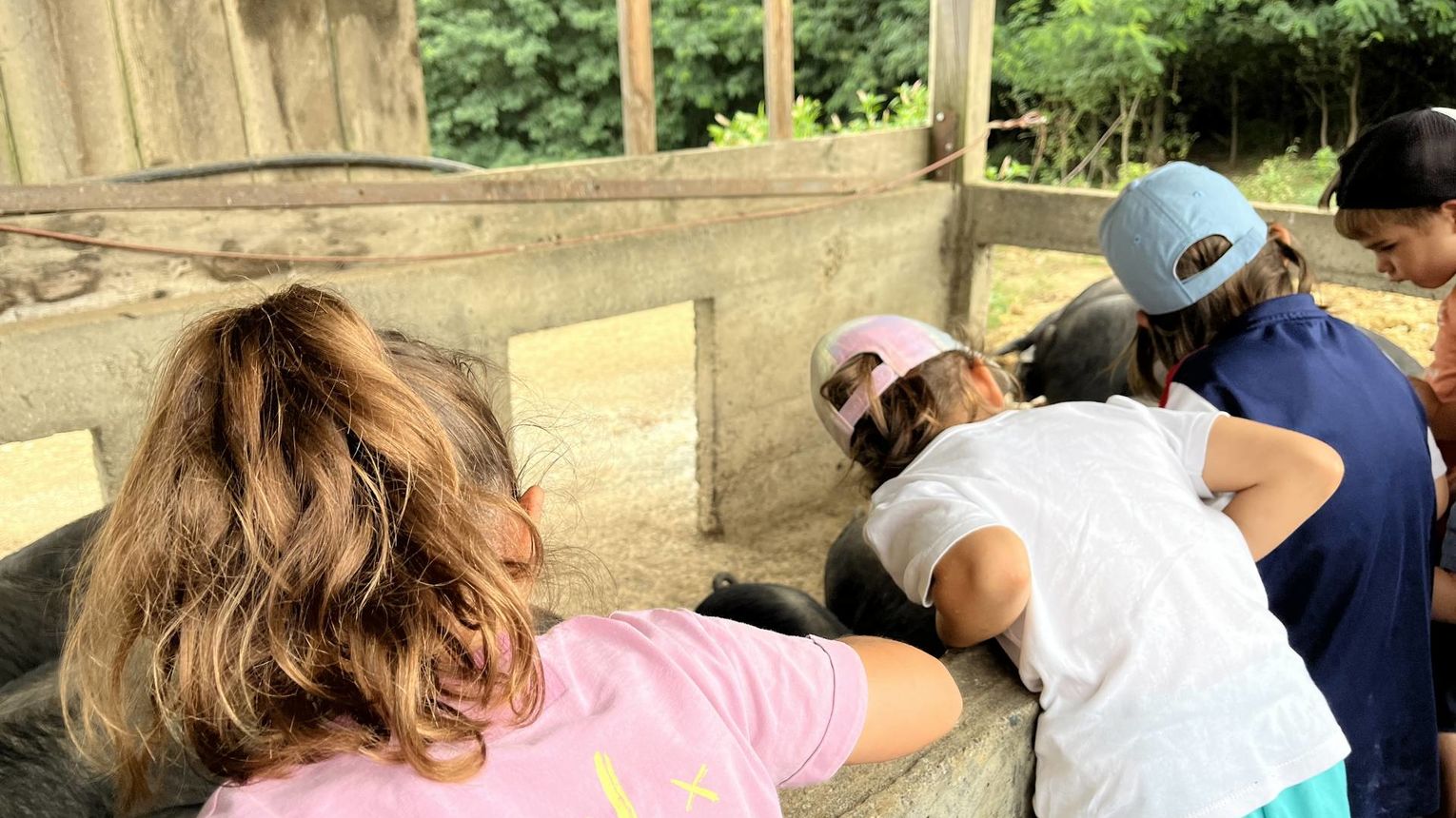 Jeu de piste - Le Pacte du vivant - CASTETIS