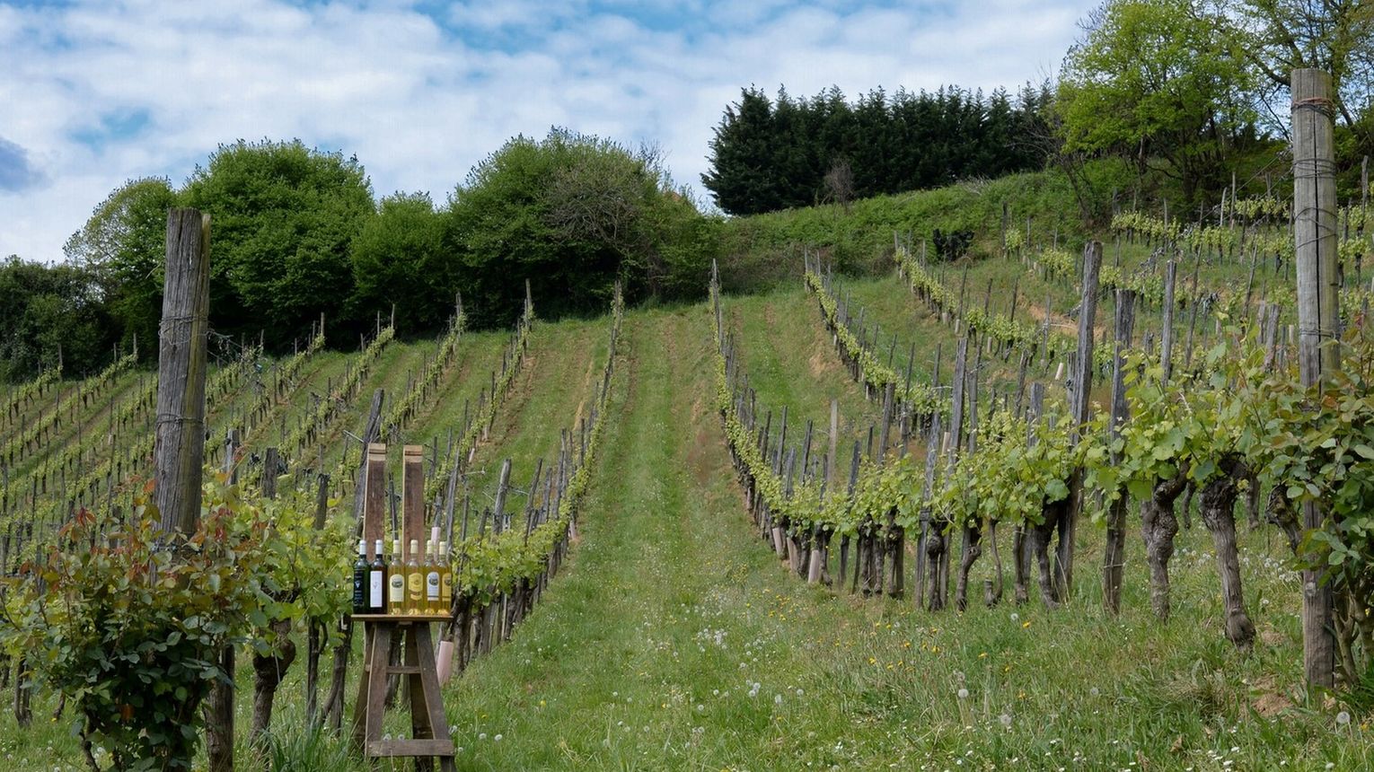 Domaine Larroudé - LUCQ-DE-BEARN