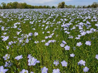 100 lieux 100 massages : Ancrage en Pyrénées - MESPLEDE