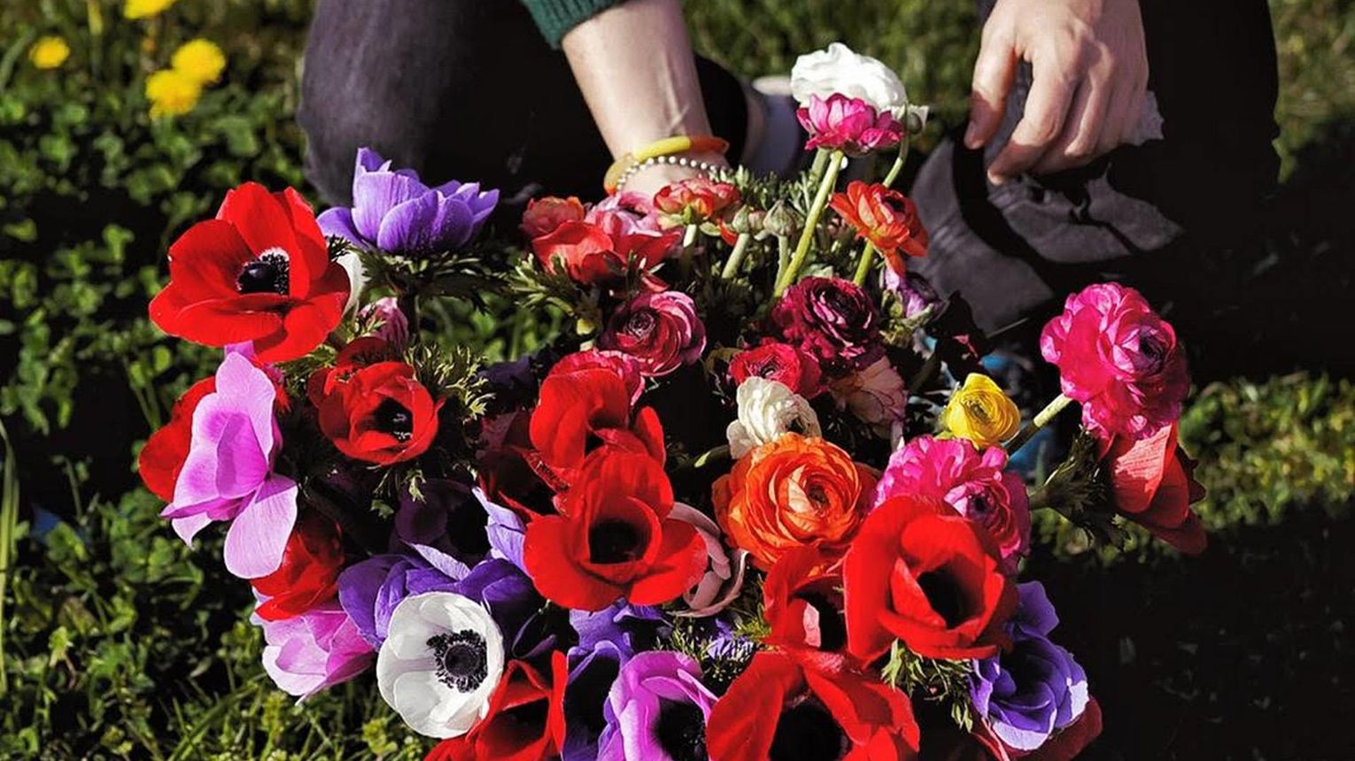 Maison Butine - MONEIN