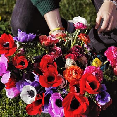 Maison Butine - MONEIN