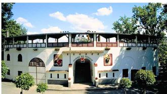 Présentation du livre : Yegüizo - ORTHEZ