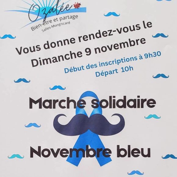 Marche solidaire : Novembre bleu - SALLES-MONGISCARD